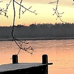 Etang neuf Plounérin (22)